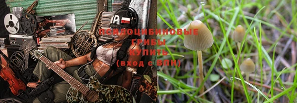 jwh Струнино