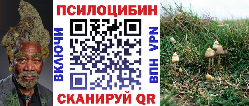 Псилоцибиновые грибы Cubensis  Лосино-Петровский 
